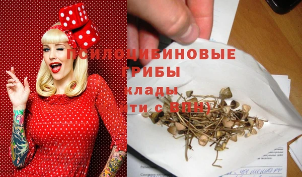 дмт Нея