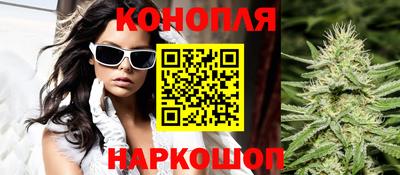 не бодяженный Гатчина