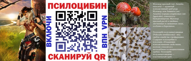 darknet Telegram  что такое наркотик  Зеленокумск  Галлюциногенные грибы Cubensis 