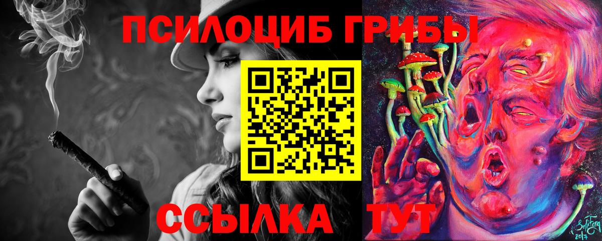 Галлюциногенные грибы MAGIC MUSHROOMS  наркошоп  Зеленокумск  Псилоцибиновые грибы Magic Shrooms 