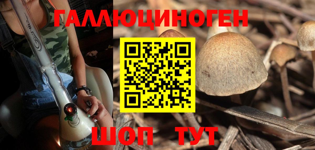 Псилоцибиновые грибы мухоморы  Галлюциногенные грибы GOLDEN TEACHER  Зеленокумск  Вход с VPN 